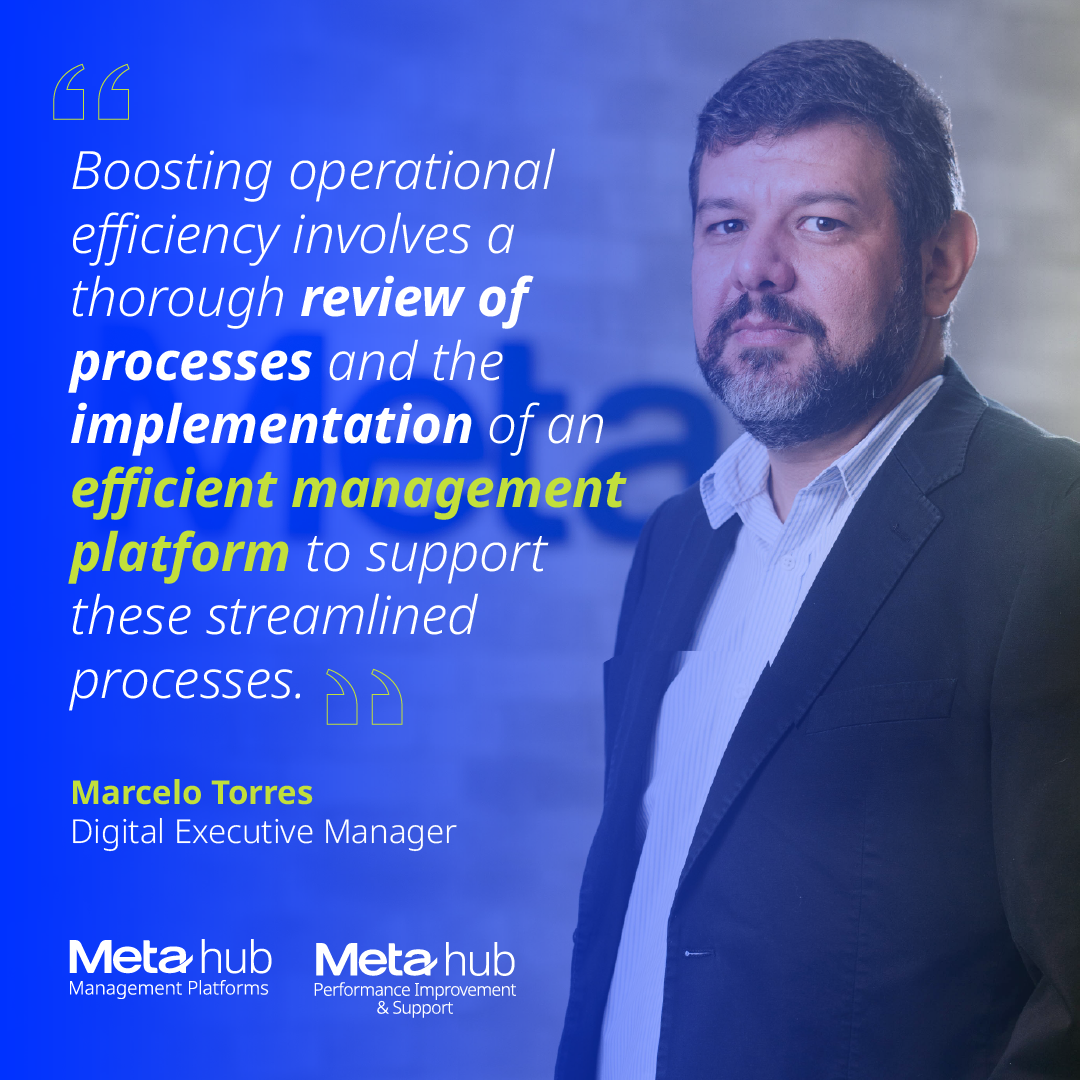 Marcelo torres Meta IT SAP ERP